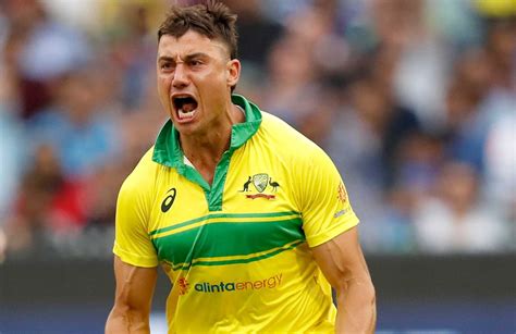stoinis age